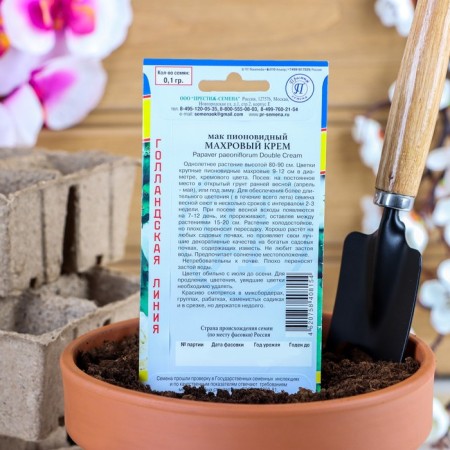 Flower seeds Pionovidal terry "cream", o, 0.1 g-1