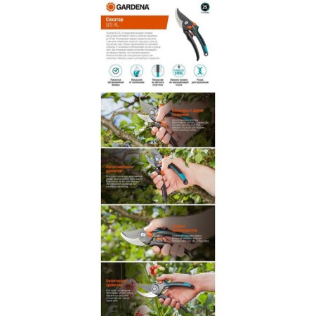 Planning coater, 10.6 "(27 cm), with plastic handles-4