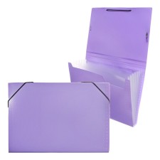 Folder Carder Calligrata watercolor 6 department. A4 plastic 0.7mm lavender, black resident
