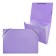 Folder Carder Calligrata watercolor 6 department. A4 plastic 0.7mm lavender, black resident