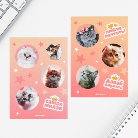 Set of notebook A6, 32 sheets, stickers, magnetic bookmarks "Cute kitten"-4