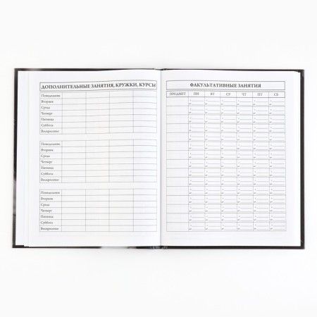 School diary 5-11 grade, in a solid cover, 48 liters. "Cat"-4