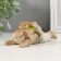 Souvenir Polystone "Cute Bunnies Sleep" 12x5x4.5 cm