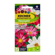 Cosmea Flower seeds 