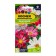 Cosmea Flower seeds "Shell", O, CP, 0.5 g