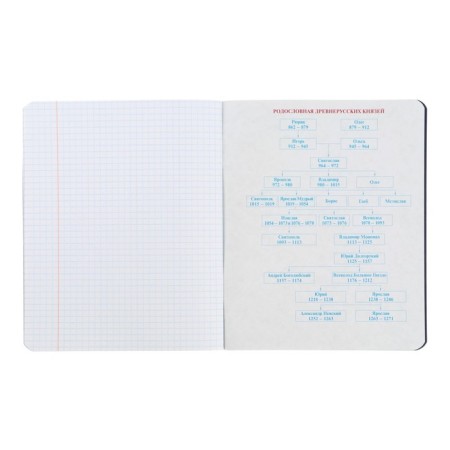 Subject notebook monocolor.element, 48 sheets in the cell "History", cover Cover Cardboard, lamination Soft touch, selective varnish, OFSET BOCT 70 g/m2-4