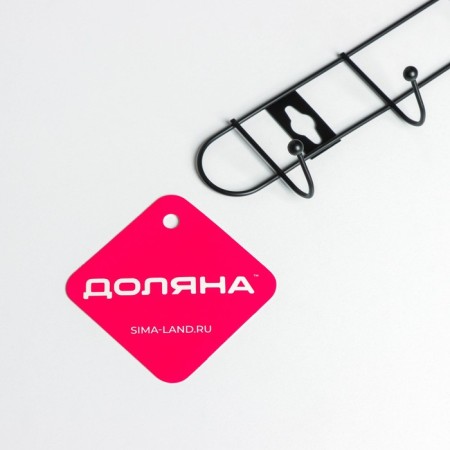 The hanger wall -mounted on 6 hooks "Light", 34 × 5.5 × 3 cm, black color-2