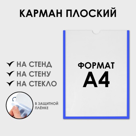 Pocket for information flat A4, vertical, plastic, without adhesive tape, blue color