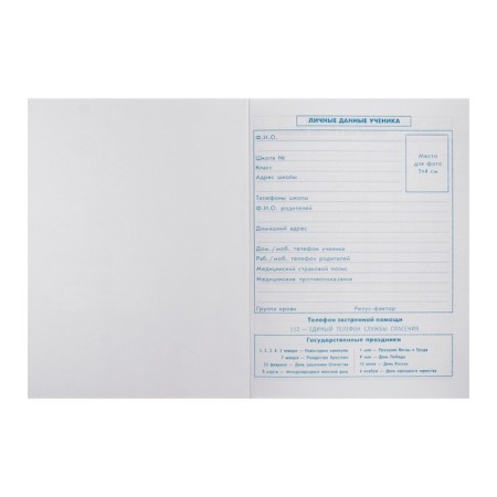 School diary for grades 1-11, "marmalade bear", a solid cover, print on holographic lamination, glossy lamination, an offset block 65g/m2, a universal cheat sheet, 48 sheets-3
