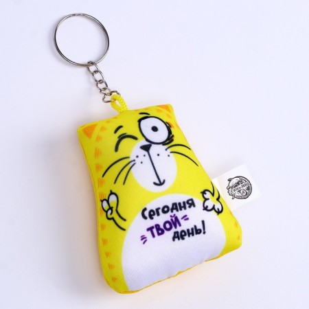 Antistress keychain "Today is your day!", Cat, 6x7 cm-3
