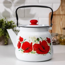 Maki kettle, 3.5 l, enameled cover, induction, white color