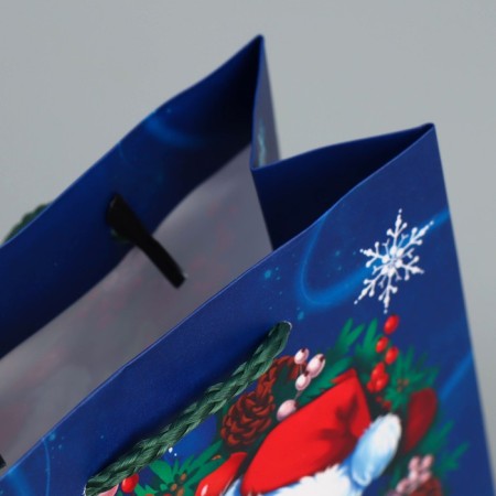 Laminated vertical packet “With New Happiness”, S 12 x 15 x 5.5 cm, New Year-6