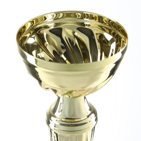 Cup 151C, award figure, gold, stand stone, 22 x 7 x 5 cm.-5
