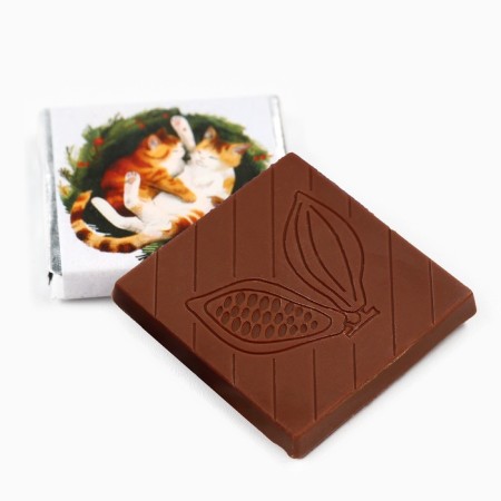 Chocolate with the prediction of the "cats", 5g-2