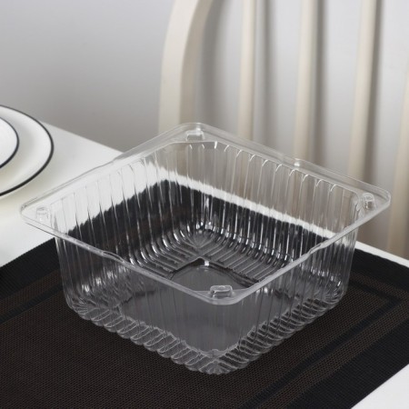 Cormore plastic disposable IP-43, cover 18.5 × 18.5 × 10.5 cm, internal 16 × 16 × 10 cm, 480 pcs/un-3