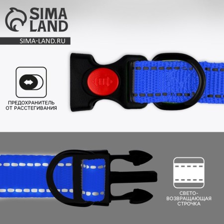 A collar with a nylon lining with Fastex 2.5 cm, a must-1