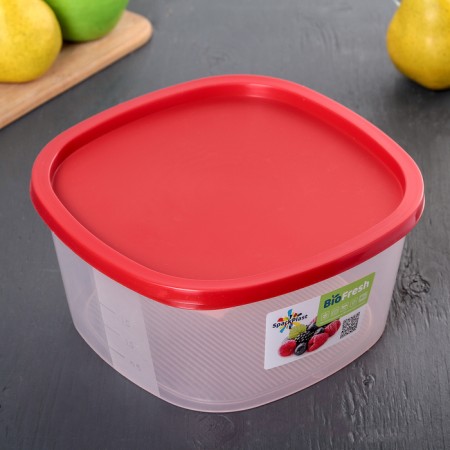 Container for products with a measuring scale "Biofresh", 2.65 l, color mix-5