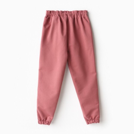 Pants for a boy, brick/dachshund, height 98-104cm-9