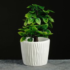 Cashpo carved, white