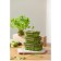 Container for baking, storage and carrying of products in the Smart Solutions cover, green color, 370 ml