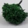 Artificial plant for creativity plastic "Green Treage" 6 cm