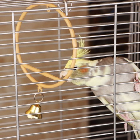 Round bird swings d 11.5 cm, with a bell, beige-2
