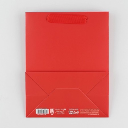 Gift Package Laminated, Packaging, Red, MS 18 x 23 x 10 cm-3