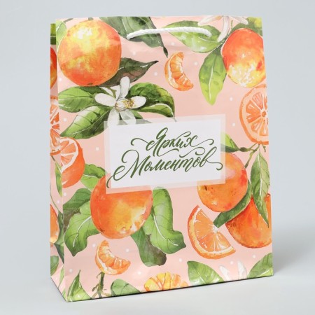 Gift Package Laminated, packaging, “bright moments”, ml 21 x 25 x 8 cm-3