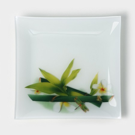 Bamboo Glass Bamboo Glass, 19.5 × 19.5 cm