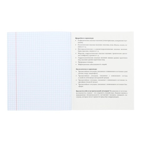 A notebook “Magic”, 48 sheets in the “Obituzr” cage, covered cardboard, cold foil, twin varnish, offset block-3