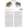 The book of disappeared animals. Biobook Tolmacheva A.