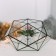 Florarium "Spaces" (SHOV Copper)