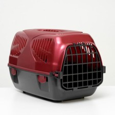 Carriage for animals 