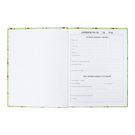 Universal diary for grades 1-11, "Avocado mini pattern", solid cover 7BC, glossy lamination, 40 sheets-4