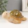 Souvenir Ceramics "Green Turtle" 10.5x13x6 cm