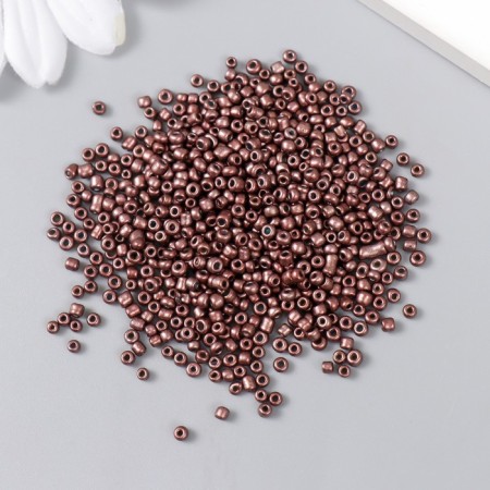 Beads "Astra" 11/0, 20 g (904 brown/opaque, matte)-1