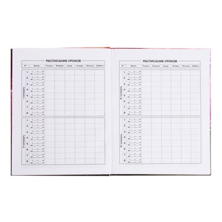 School diary for grades 1-11 Infinity, covered cardboard, glossy lamination, foil embossing, universal cheat sheet, 48 sheets, block 65g/m2-6