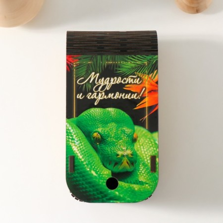 New Year's box "Snake. Tropics" 13x7x4 cm-1