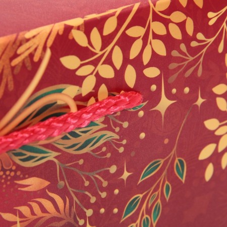 Gold Package Corps, 23 x 18 x 11 cm, New Year-5