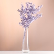 Set of dried flowers 