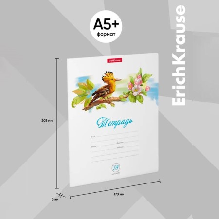 A notebook of 18 sheets in the Erichkrause "Birds" line, cover coated cardboard, an offset block 100% whiteness, mix-17