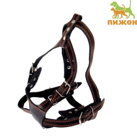 Leather sloping "Universal", 2.5 cm, Osh 42-62 cm, og 86-100 cm, black