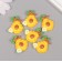 Decor for creativity Plastic "Bee Hive" set 6 pcs 2.8x2.7x0.8 cm