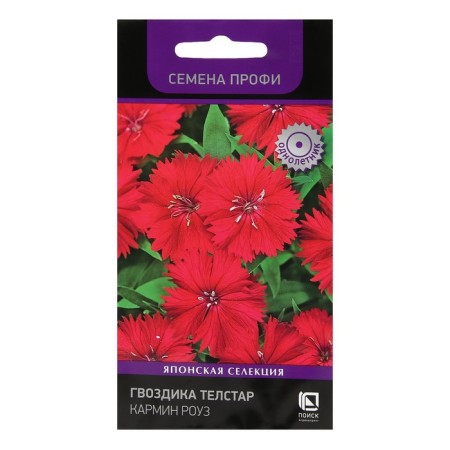 Flower seeds cloves Telstar "Karmin Rose", 10 pcs.