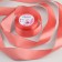 Satin tape, 40 mm × 23 ± 1 m, salmon color No. 263