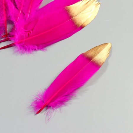 A set of goose feathers 15-20 cm, 10 pcs, fuchsia with a golden tip-2