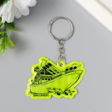 Trick plastic reflective 