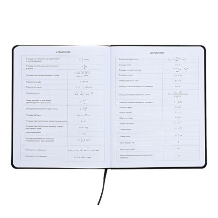 Universal diary for grade 1-11 I am here, integral cover, artificial leather, silk-screen printing, liesse, 80 g/m2-8