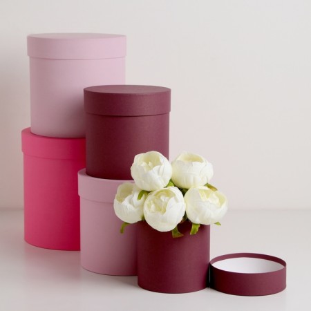 Set of round boxes 5 in 1, "sophistication" 23x23-15x15