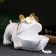 Buldog candidate stand white 16x27cm